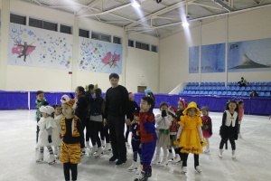 Жаңа жыл мұз