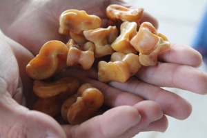 Турнир «асық Хо» және «toғyzқұmalaқ»